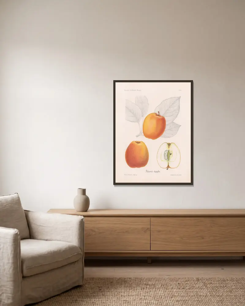 Åkerö-Apfel von Henriette Sjöberg gerahmt an einer Wand