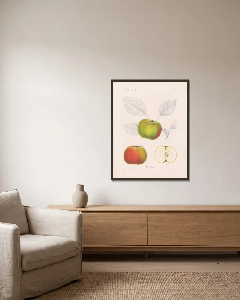 Ribston von Henriette Sjöberg gerahmt an einer Wand