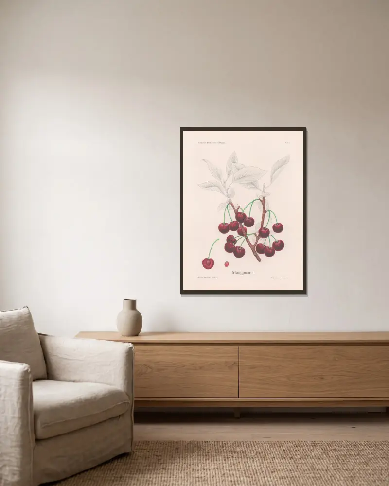 Schattenmorelle von Henriette Sjöberg gerahmt an einer Wand