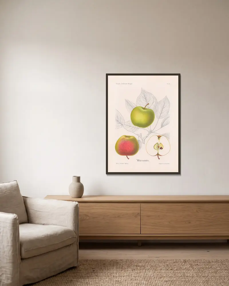 Värnanäs-Apfel von Henriette Sjöberg gerahmt an einer Wand