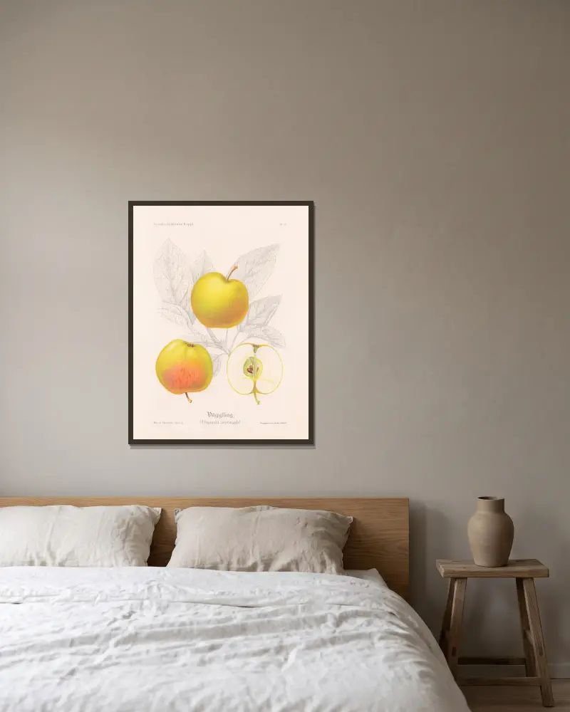 Weißer Gylling (Virginischer Rosenapfel) von Henriette Sjöberg gerahmt an einer Wand