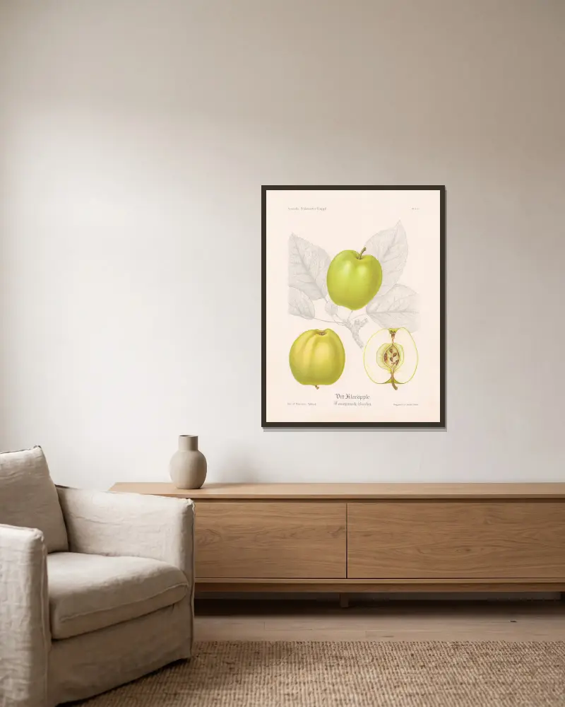 Vitt klaräpple (Transparente blanche) av Henriette Sjöberg inramad på en vägg