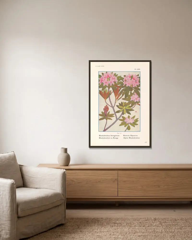 Alpen-Rhododendron von Henry Correvon gerahmt an einer Wand