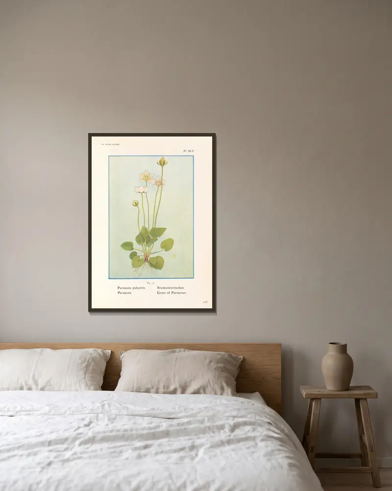 Grass of Parnassus av Henry Correvon inramad på en vägg