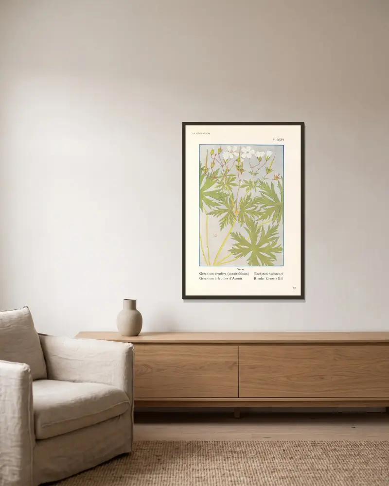 Bäcknäva av Henry Correvon inramad på en vägg