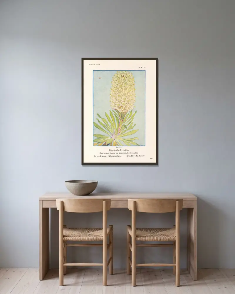 Strauchglockenblume von Henry Correvon gerahmt an einer Wand