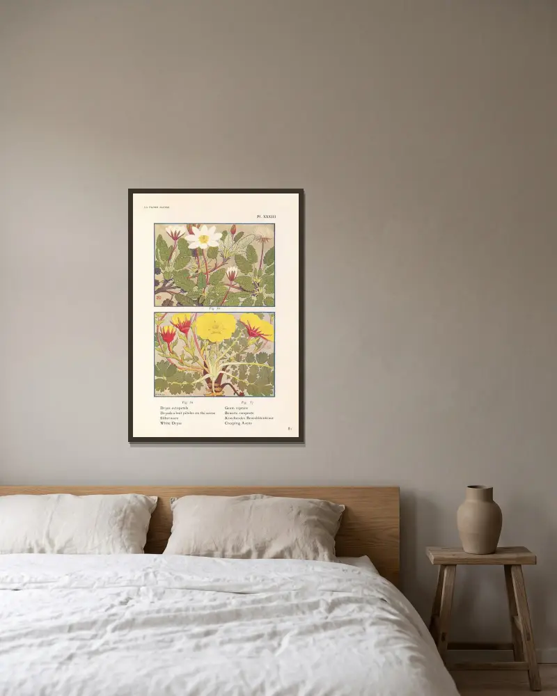 White Dryas, Creeping Avens av Henry Correvon inramad på en vägg