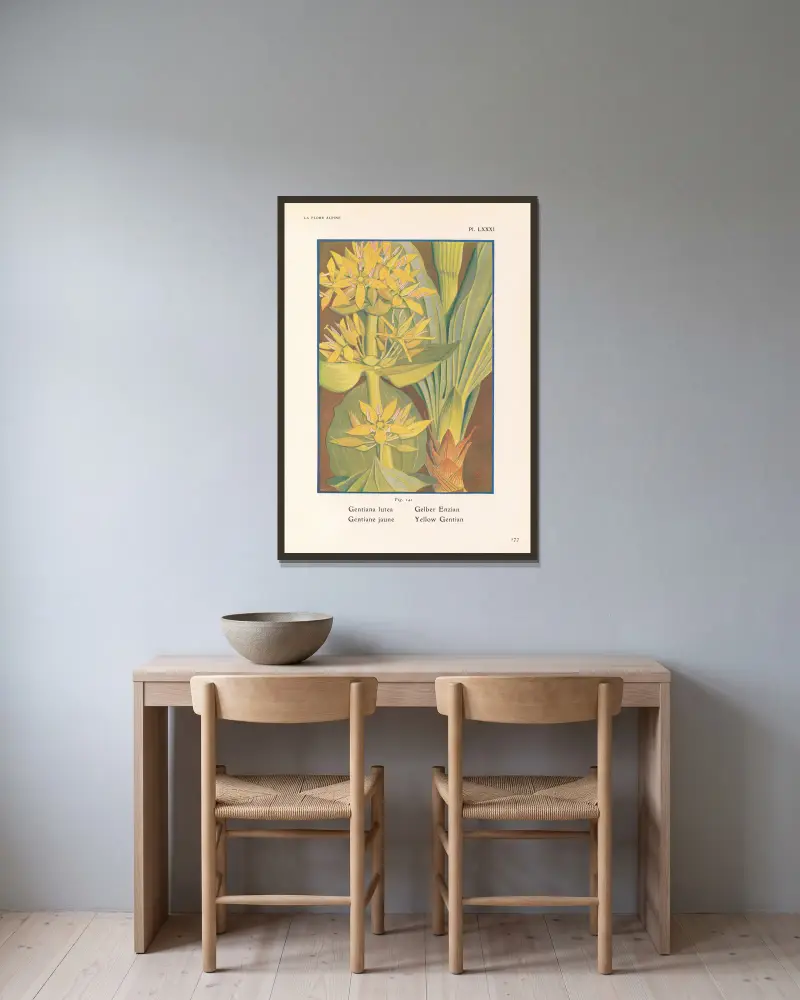 Gelber Enzian von Henry Correvon gerahmt an einer Wand
