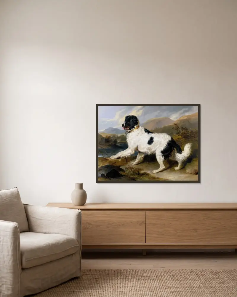 Lejon; en newfoundlandshund av Sir Edwin Henry Landseer inramad på en vägg