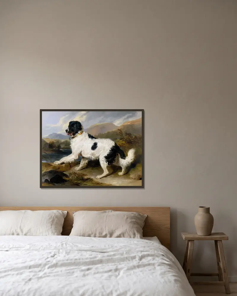 Lejon; en newfoundlandshund av Sir Edwin Henry Landseer inramad på en vägg