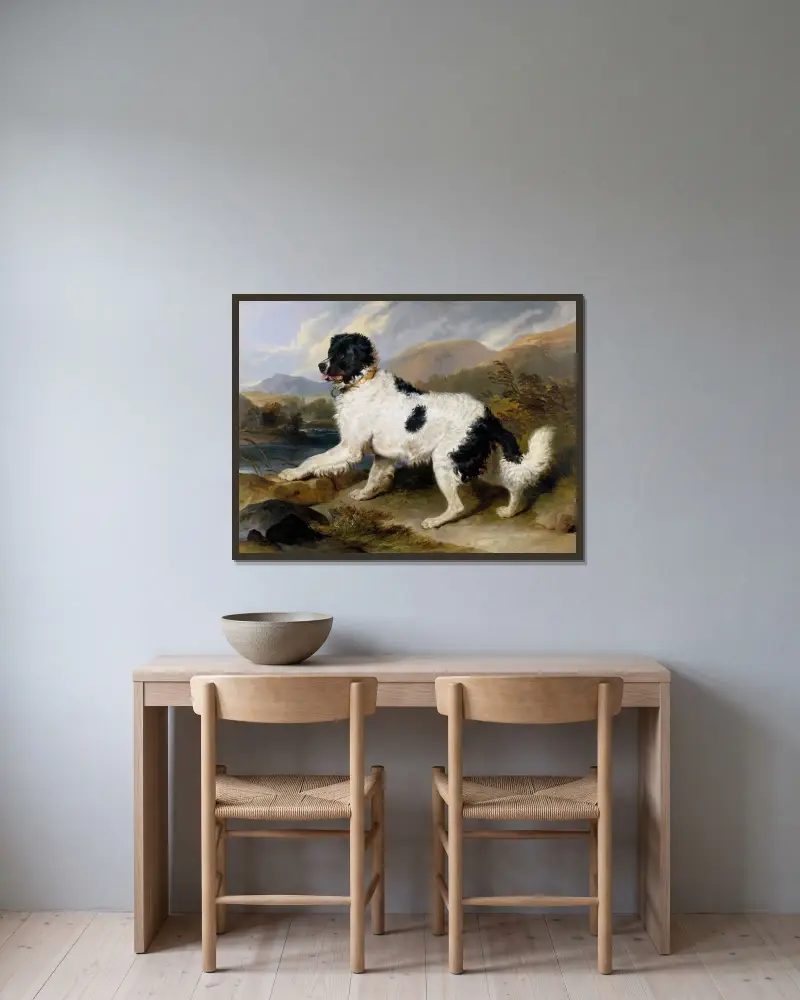 Lejon; en newfoundlandshund av Sir Edwin Henry Landseer inramad på en vägg