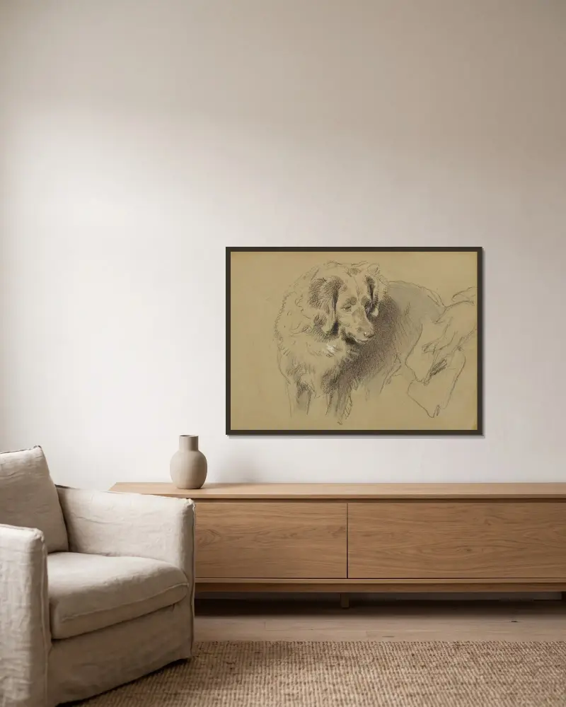 Studie av en hund av Sir Edwin Henry Landseer inramad på en vägg