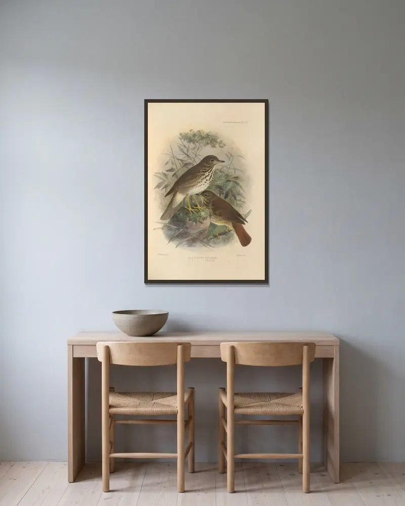 Turdus Auduboni, Turdus Pallasi av Henry Seebohm inramad på en vägg
