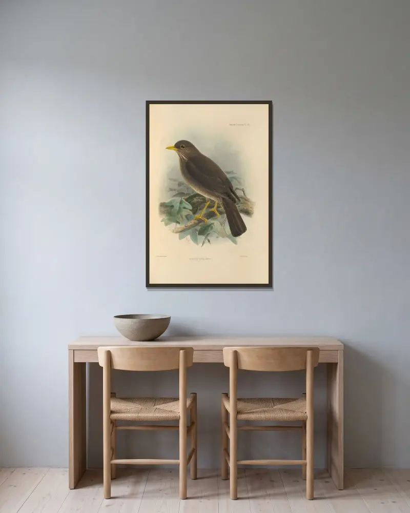 Turdus Chiguanco av Henry Seebohm inramad på en vägg