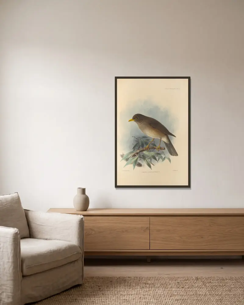Turdus Cryptopyrrhus von Henry Seebohm gerahmt an einer Wand