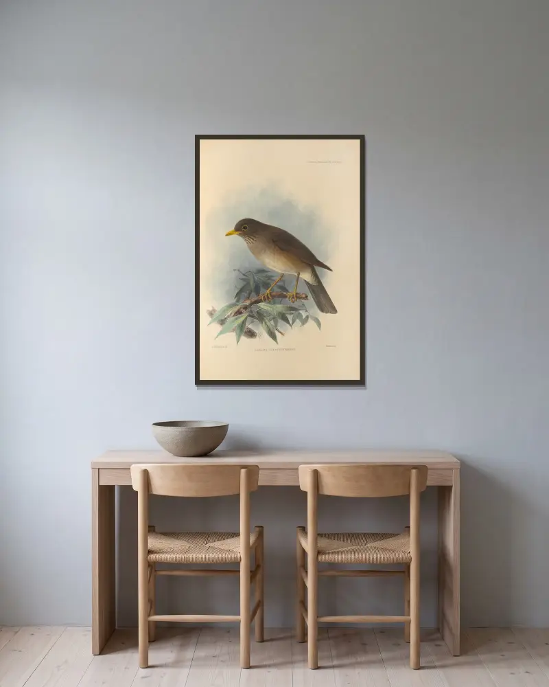 Turdus Cryptopyrrhus von Henry Seebohm gerahmt an einer Wand