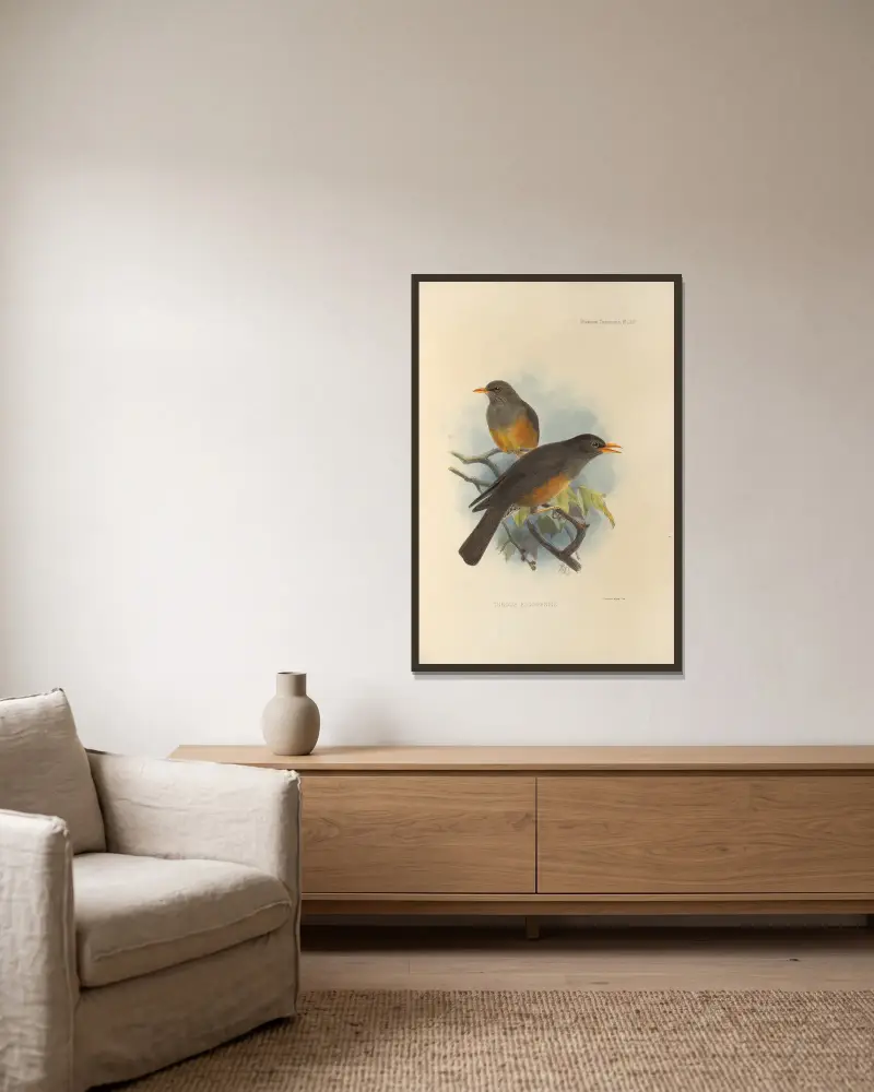 Turdus Elgonensis, Henry Seebohm v rámu na stěně