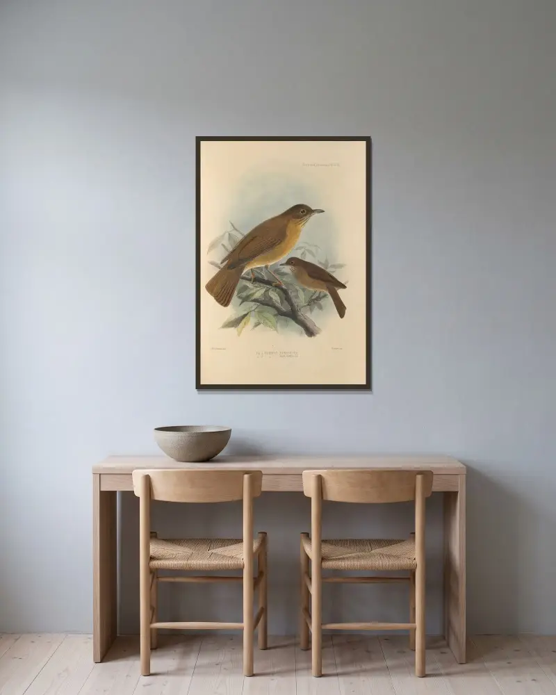 Turdus Fumigatus, Turdus Hauxwelli av Henry Seebohm inramad på en vägg