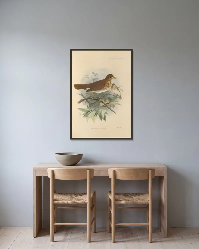 Turdus Fuscescens av Henry Seebohm inramad på en vägg