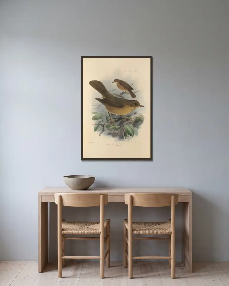 Turdus Grayii, Turdus Casius av Henry Seebohm inramad på en vägg