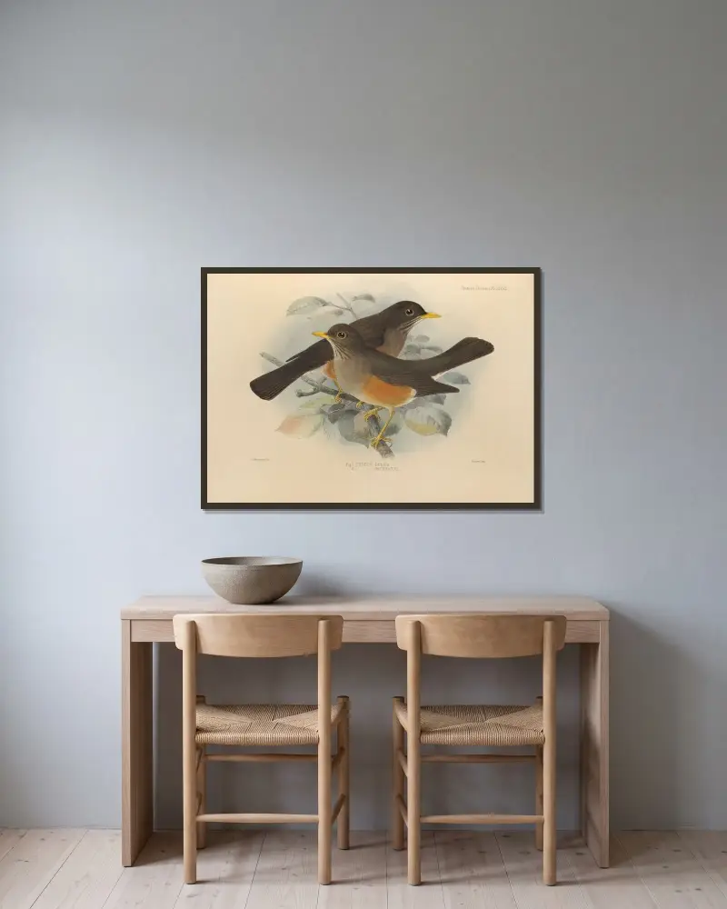 Turdus Pelios, Turdus Saturatus av Henry Seebohm inramad på en vägg