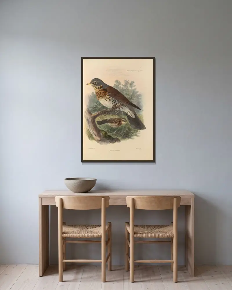 Turdus Pilaris av Henry Seebohm inramad på en vägg