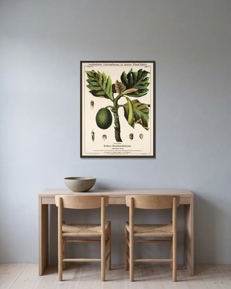 Artocarpus incisa (brödfruktträd) av Hermann Zippel inramad på en vägg