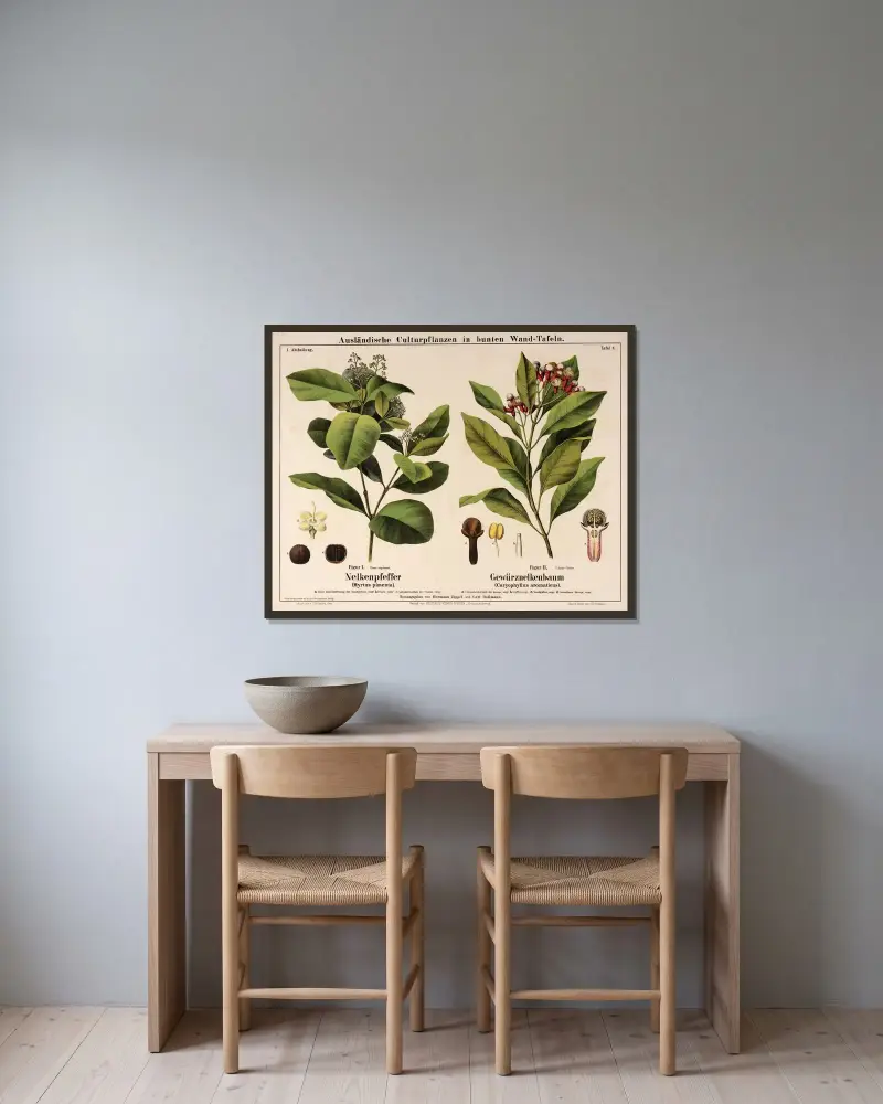Pimentträd, kryddnejlikaträd av Hermann Zippel inramad på en vägg