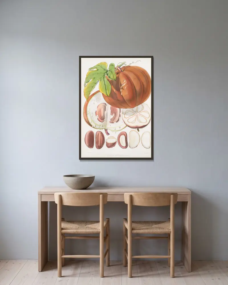 Hodgsonia Heteroclita, H. f. et T. (Fruit) av Walter Hood Fitch inramad på en vägg