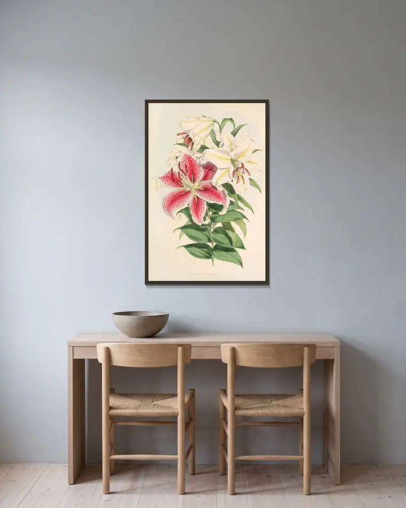 Lilium auratum var Parkmanm, Walter Hood Fitch v rámu na stěně