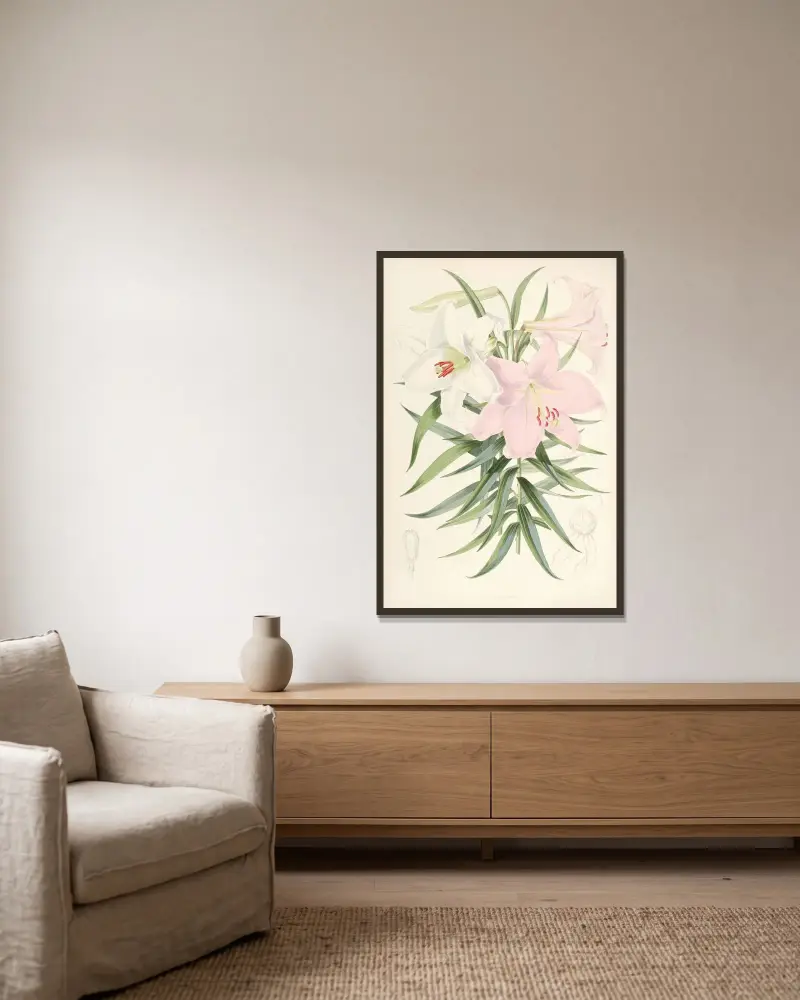 Lilium Japonicum, Walter Hood Fitch v rámu na stěně