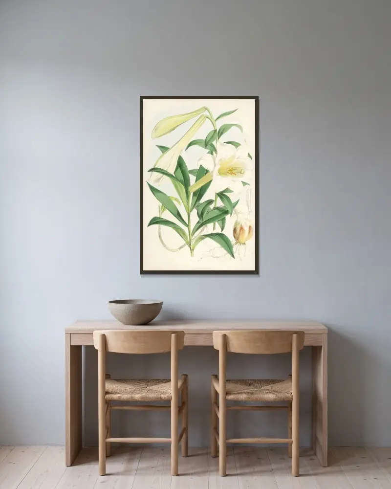 Lilium Neilgherriense, Walter Hood Fitch v rámu na stěně