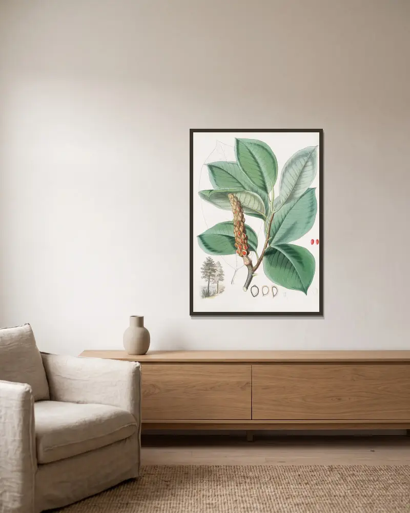 Magnolia Campbellii, H.f. et T. (Fruiting plant in foliage), 1855 – nr 2 av Walter Hood Fitch inramad på en vägg
