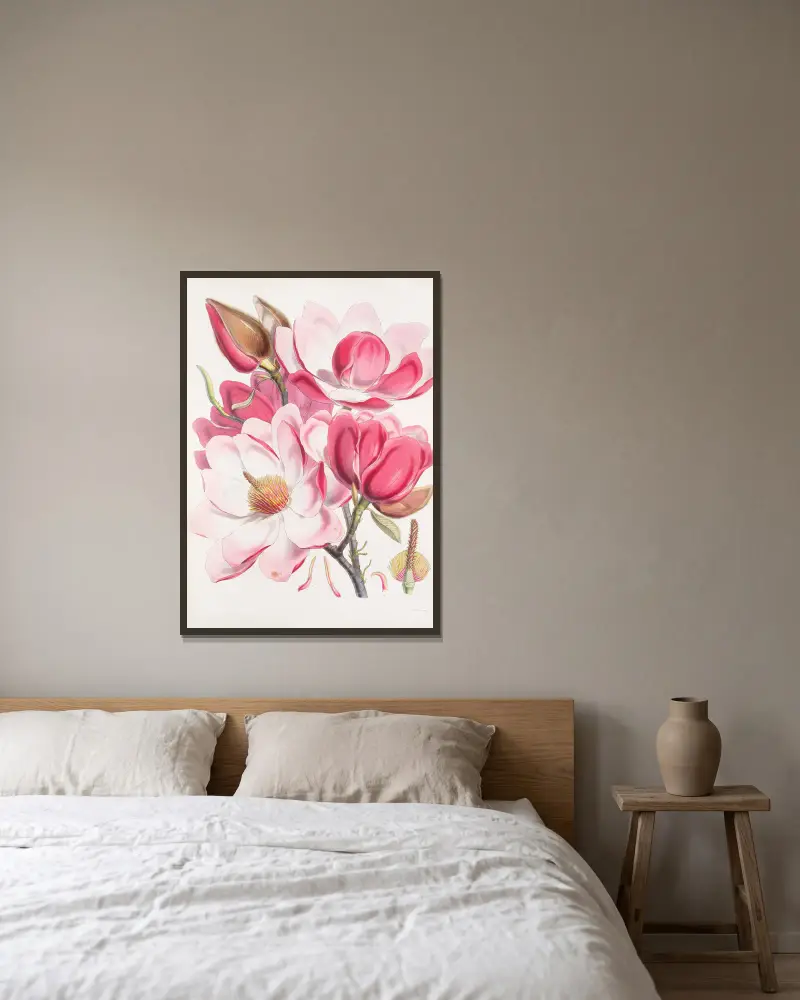 Magnolia Campbellii, H.f. et T. (Flowering plant)., 1855 – nr 1 av Walter Hood Fitch inramad på en vägg