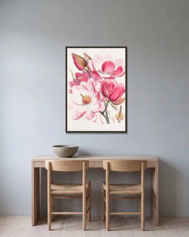 Magnolia Campbellii, H.f. et T. (Flowering plant)., 1855 – nr 1 av Walter Hood Fitch inramad på en vägg