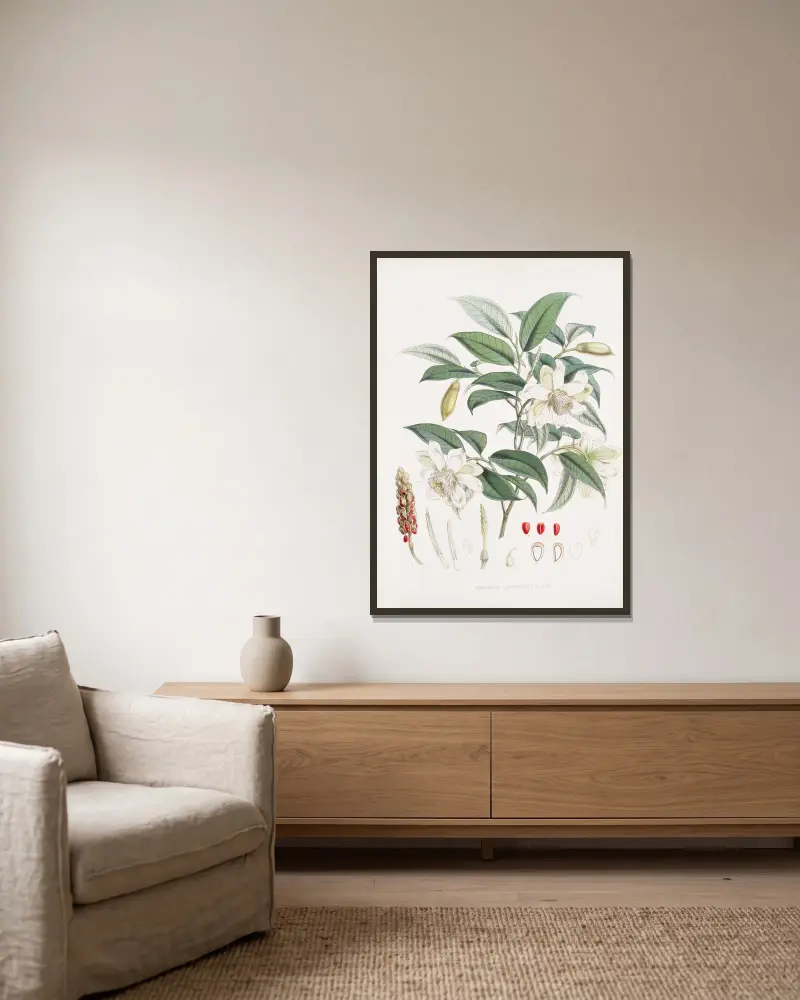 Michelia Cathcartii, H.f. et T. av Walter Hood Fitch inramad på en vägg