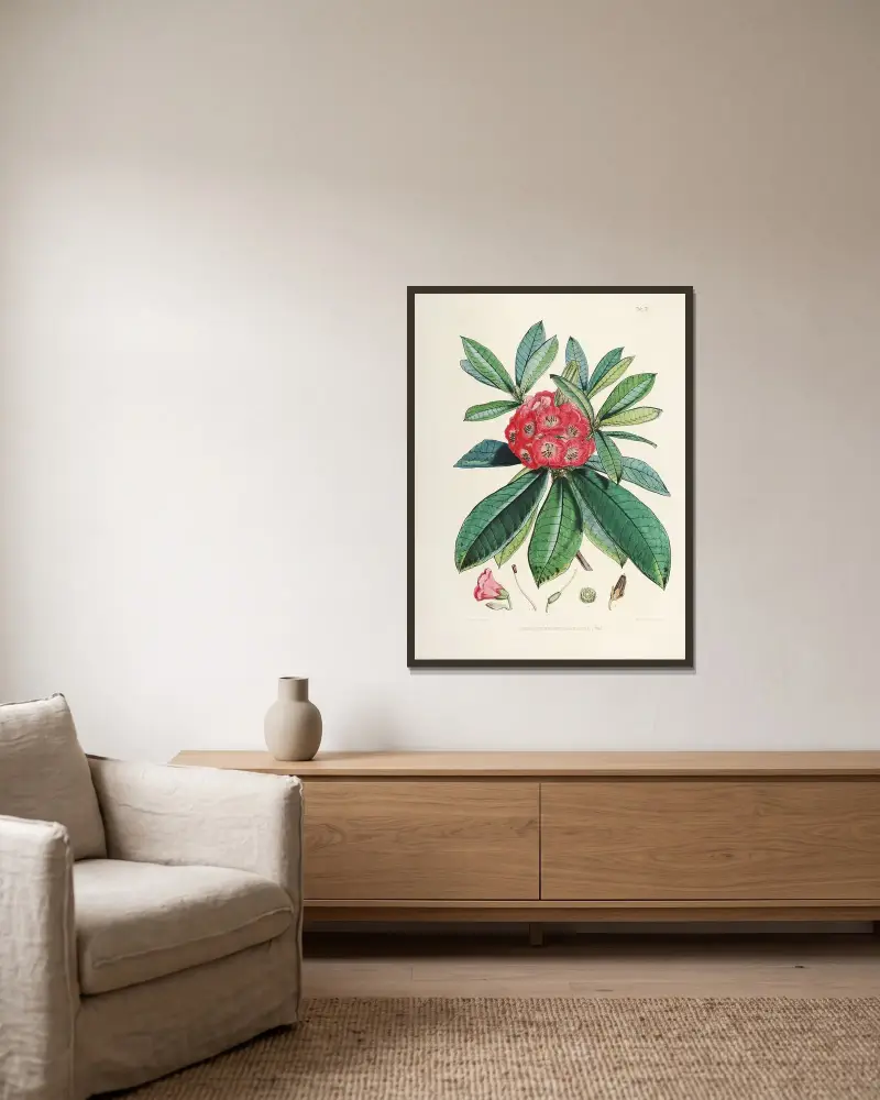 The Rhododendrons of Sikkim-Himalaya Pl.03, Walter Hood Fitch v rámu na stěně