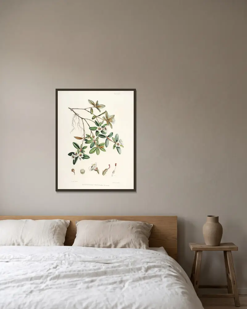 The Rhododendrons of Sikkim-Himalaya Pl.13, Walter Hood Fitch v rámu na stěně