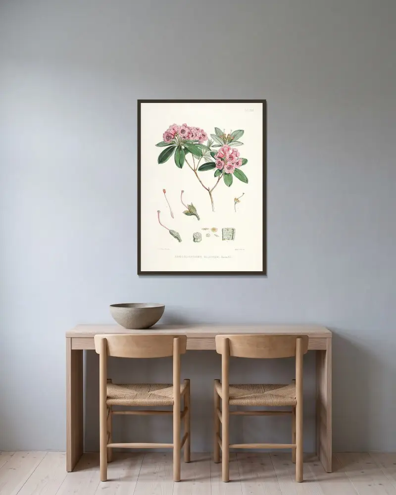 The Rhododendrons of Sikkim-Himalaya Pl.17, Walter Hood Fitch v rámu na stěně