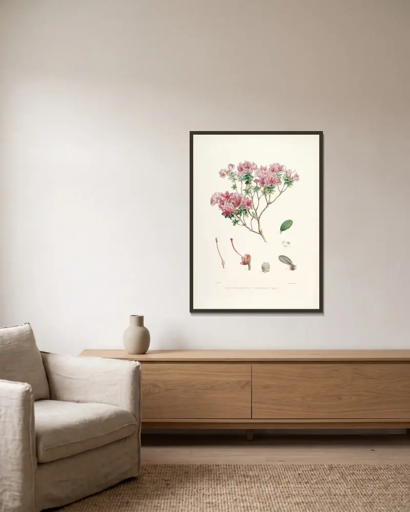 The Rhododendrons of Sikkim-Himalaya Pl.20, Walter Hood Fitch v rámu na stěně
