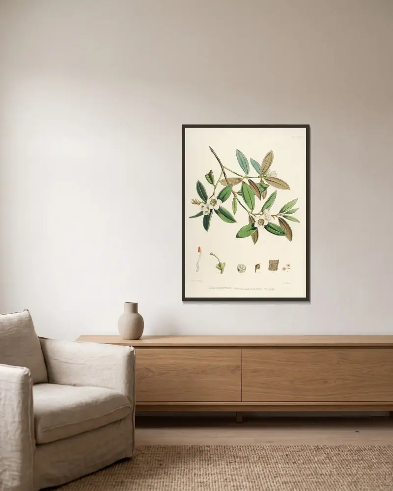 The Rhododendrons of Sikkim-Himalaya Pl.28, Walter Hood Fitch v rámu na stěně