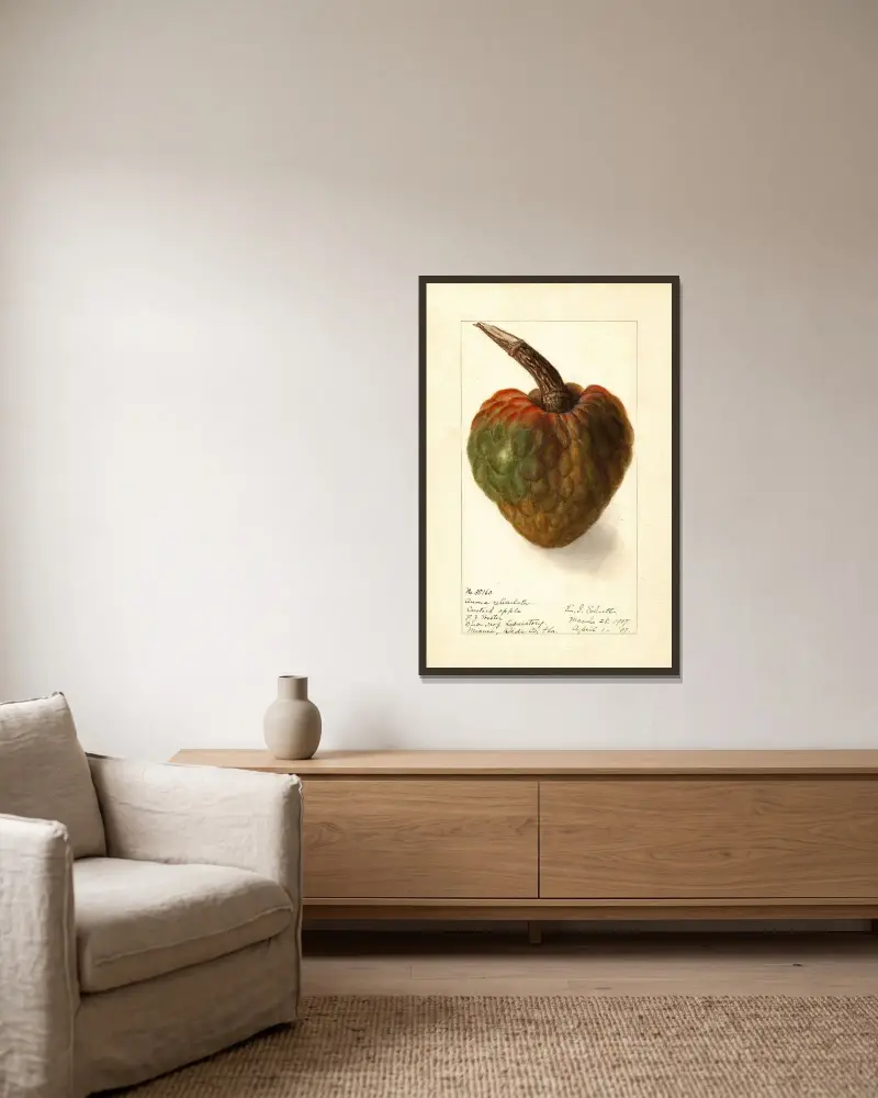 Annona reticulata av Ellen Isham Schutt inramad på en vägg