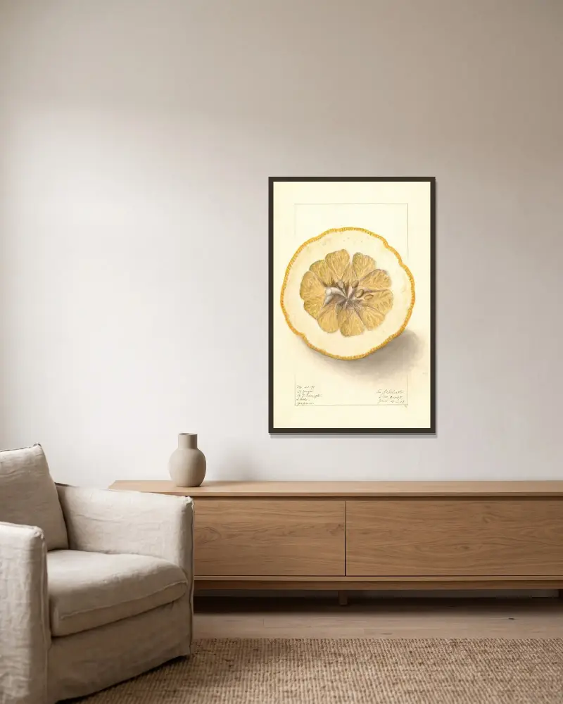 Citrus grandis: To Yuzu av Ellen Isham Schutt inramad på en vägg