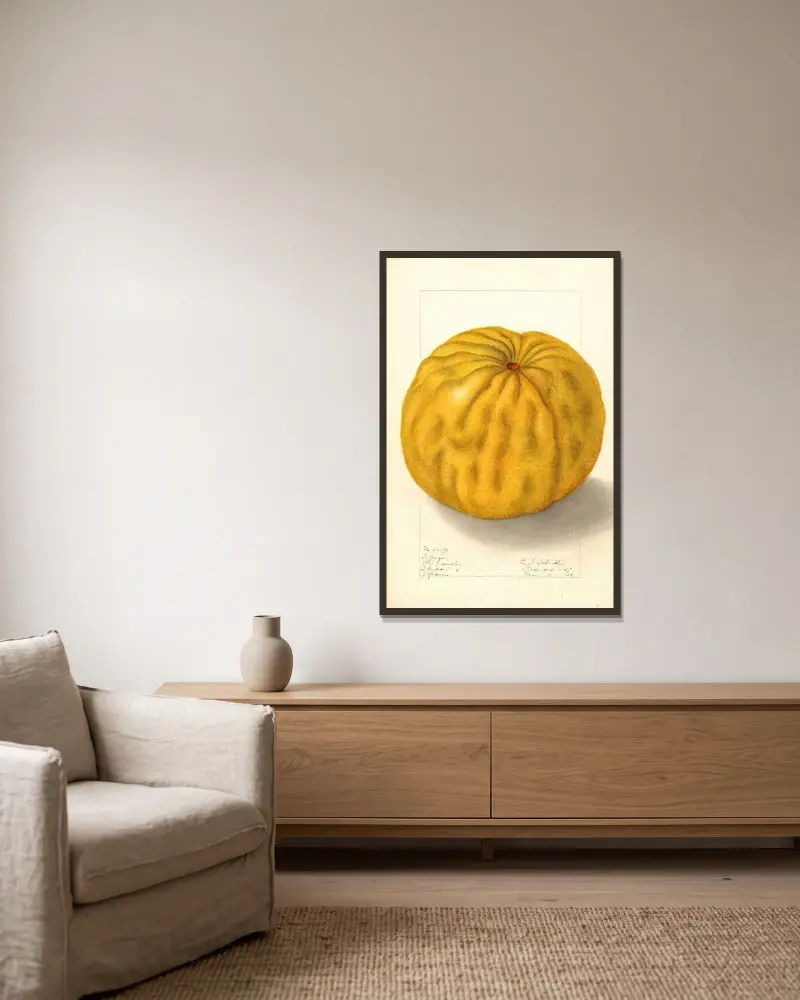Citrus grandis: To Yuzu av Ellen Isham Schutt inramad på en vägg