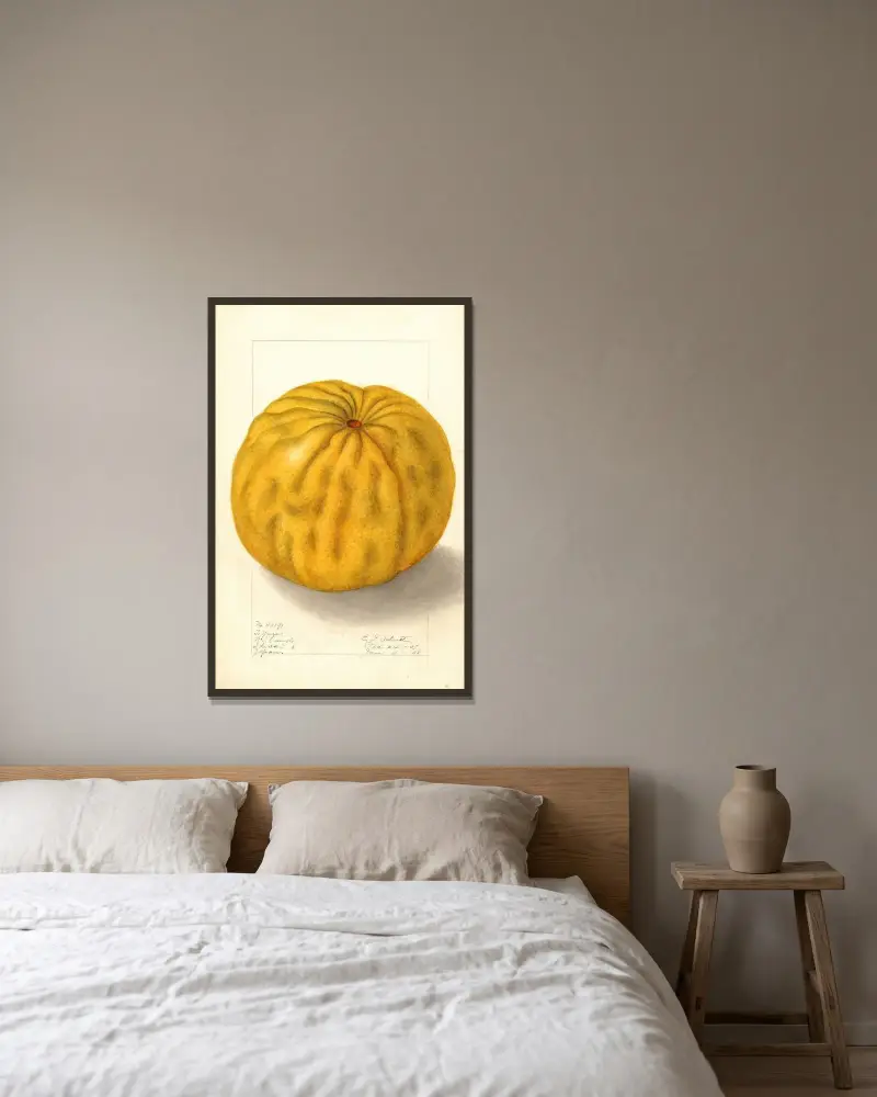 Citrus grandis: To Yuzu av Ellen Isham Schutt inramad på en vägg