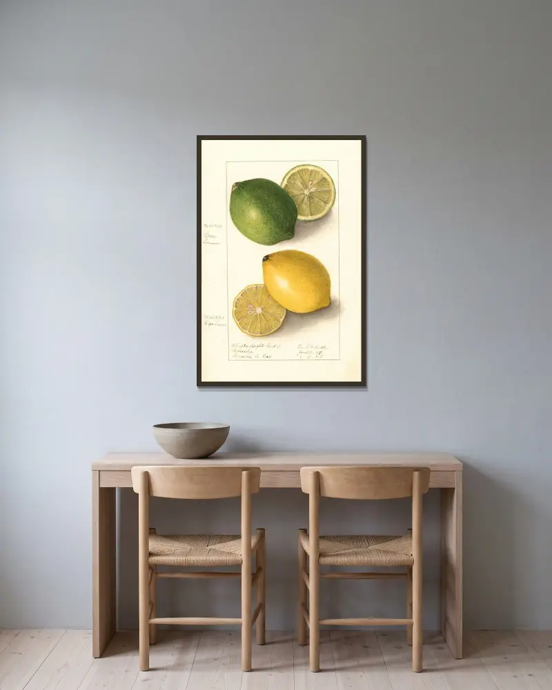 Citrus limon av Ellen Isham Schutt inramad på en vägg