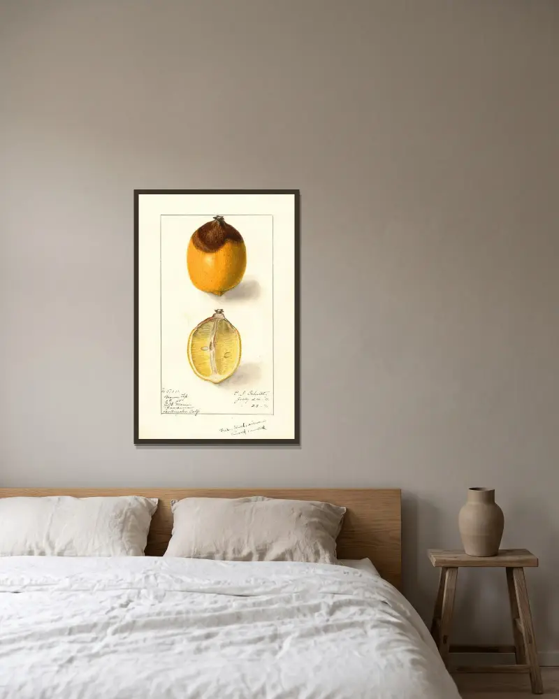 Citrus limon av Ellen Isham Schutt inramad på en vägg