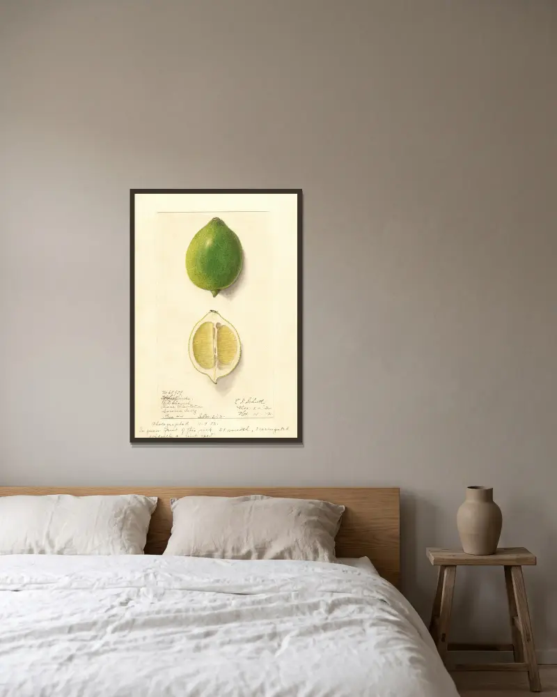 Citrus limon: Eureka, 1912 – Nr. 2, Ellen Isham Schutt w ramie na ścianie