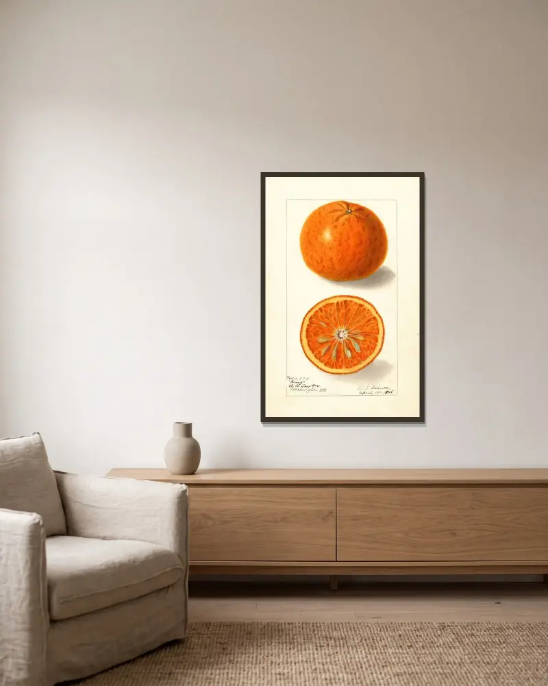 Citrus nobilis: King av Ellen Isham Schutt inramad på en vägg