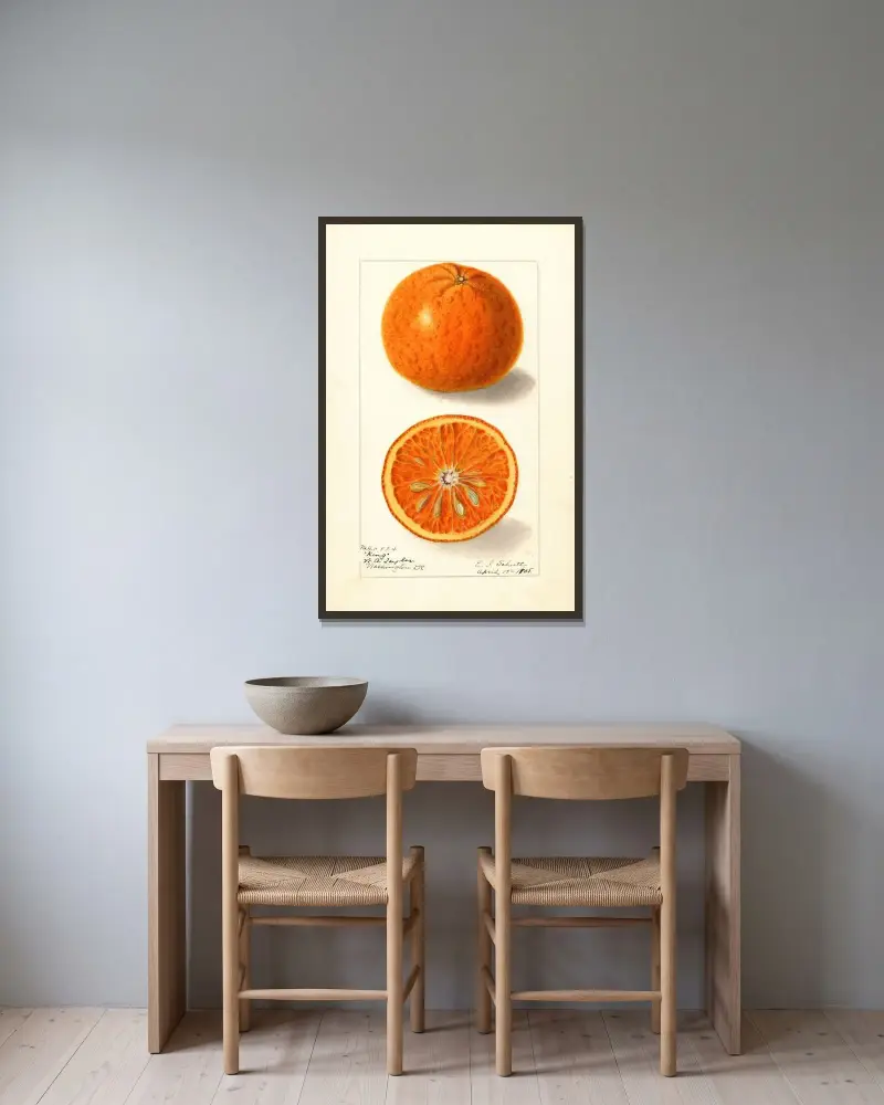 Citrus nobilis: King av Ellen Isham Schutt inramad på en vägg